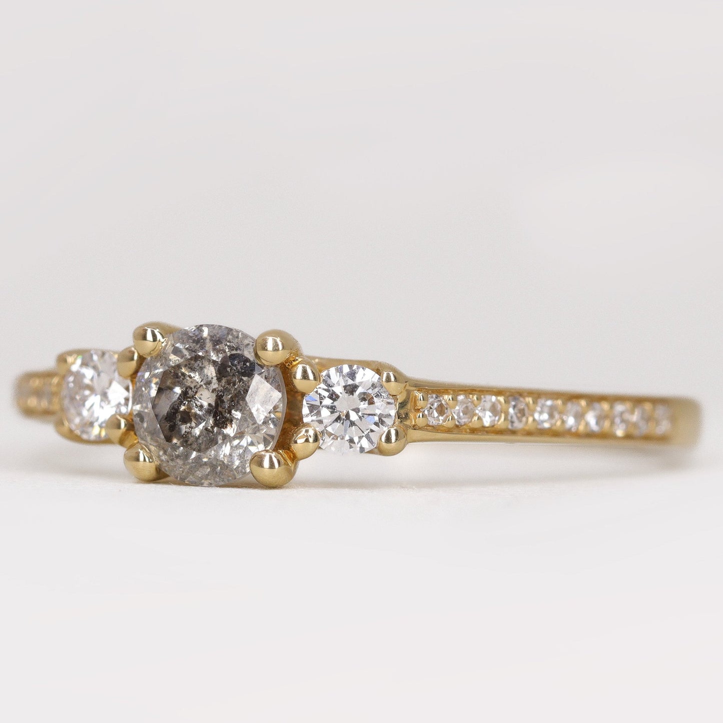 Round salt and pepper diamond and white diamond trilogy engagement ring with pave band